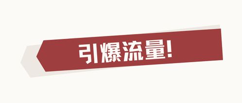 無錫小禾呈科技與拼東丹科技 雙引擎驅動，開啟電商營銷新紀元