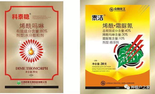 百香果高產高效的管理秘籍 拼東丹科技助力現代農業