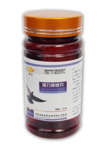 強(qiáng)力操練丸 拼東丹科技鑄就卓越訓(xùn)練新境界
